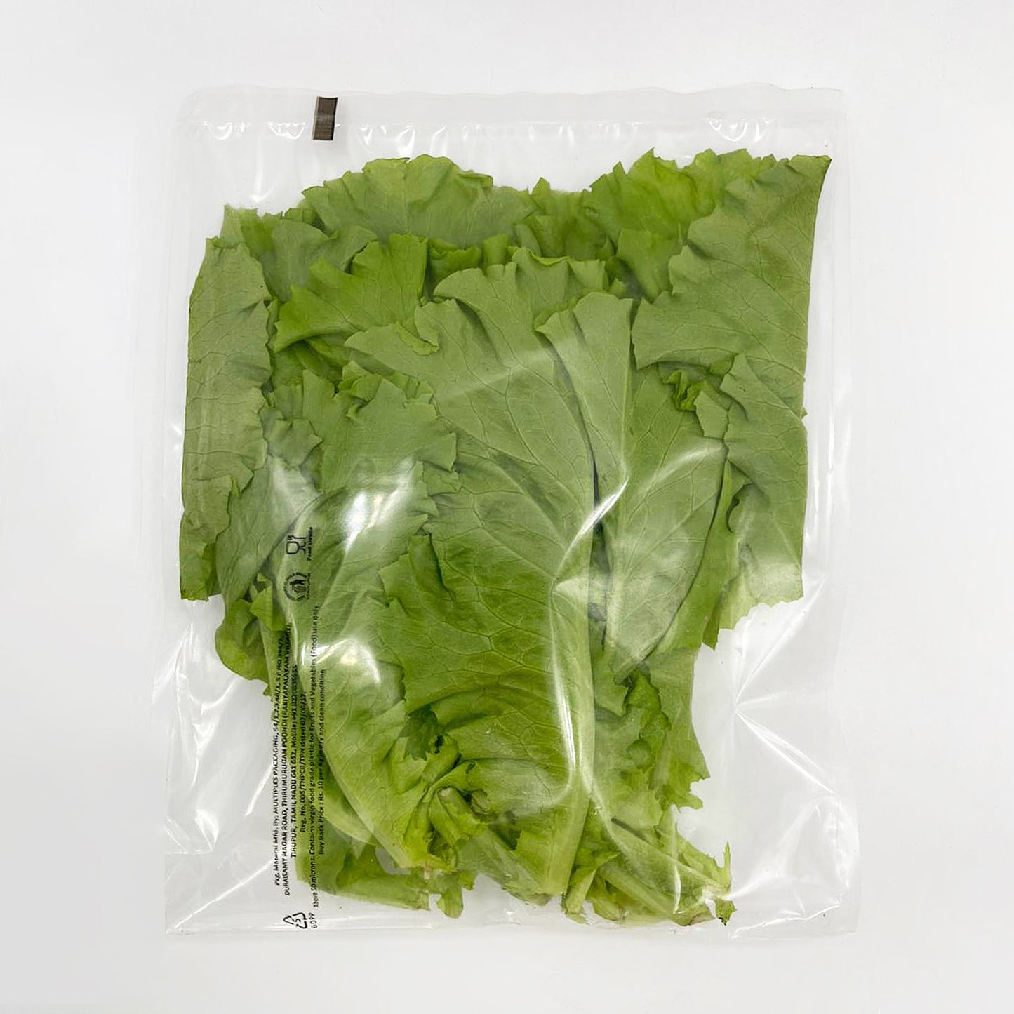 Starfighter (Batavia) Lettuce