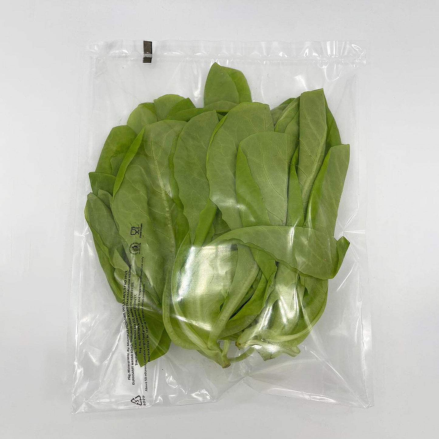 Butterhead Lettuce