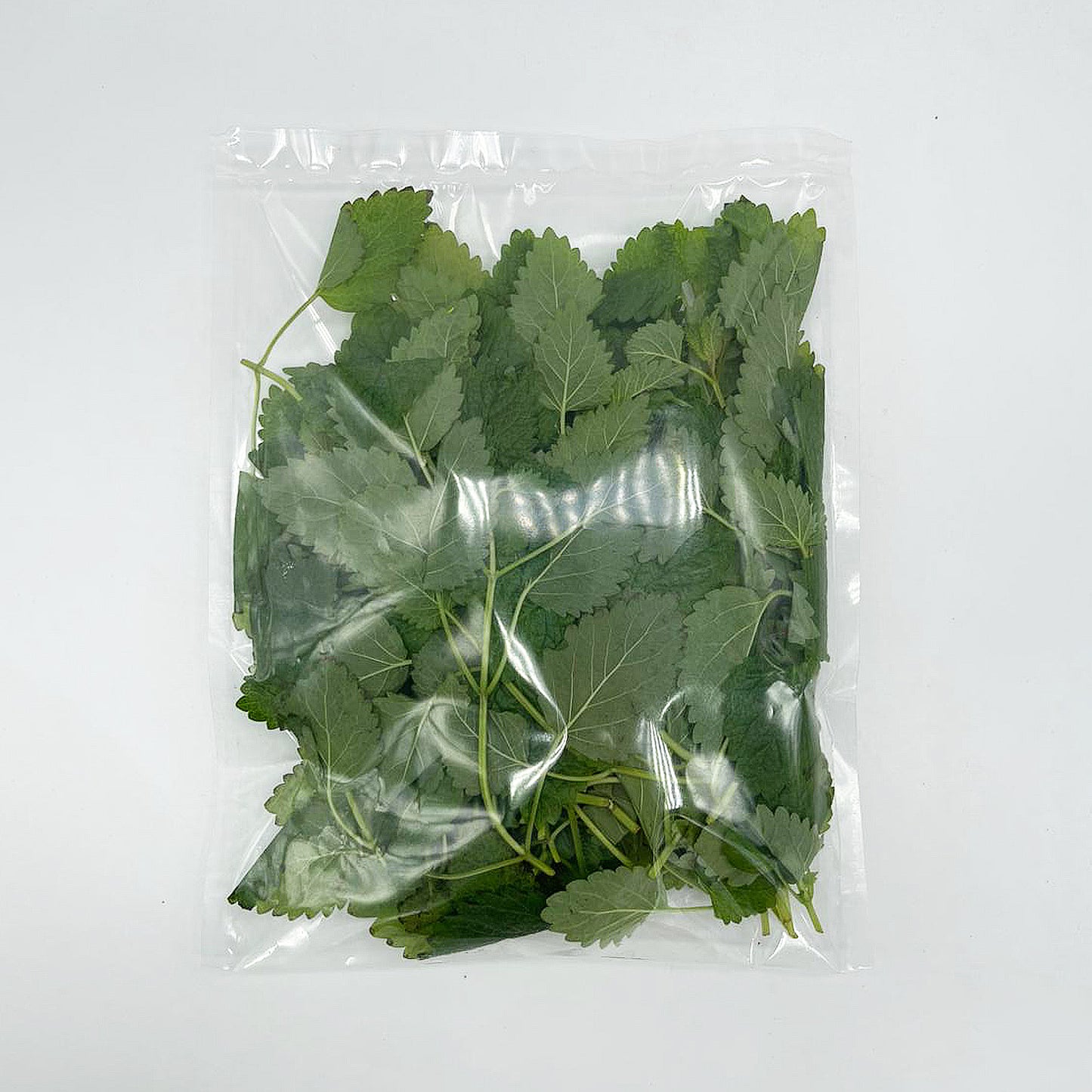 Lemon Balm