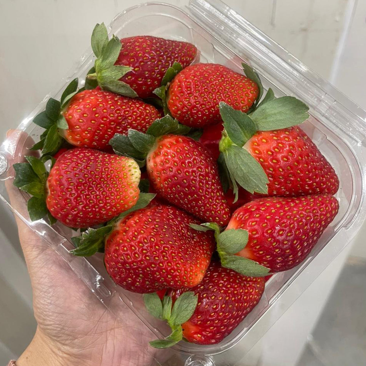 Strawberry (Big Size) - Mahabaleshwar