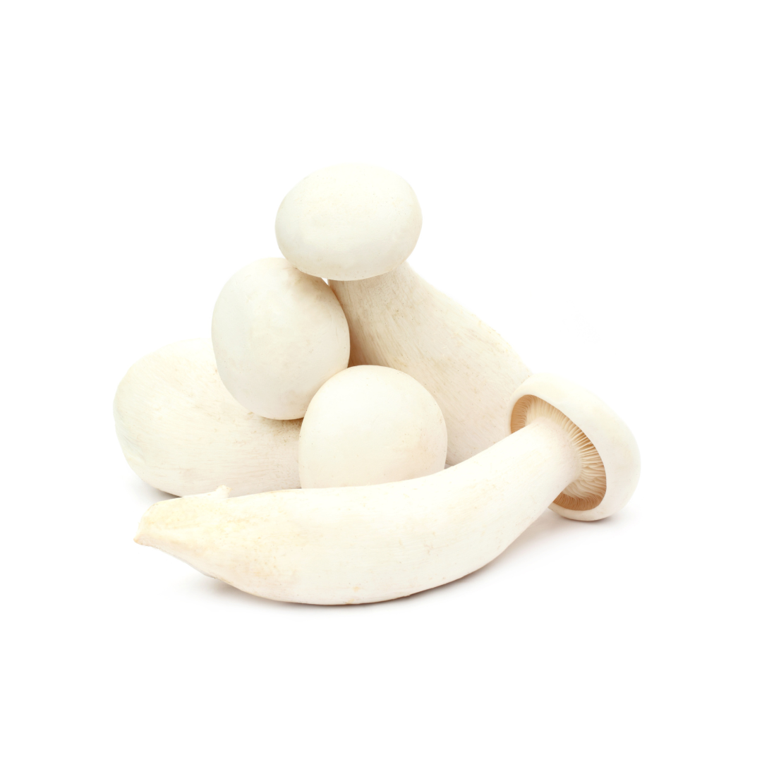 Milky Mushroom