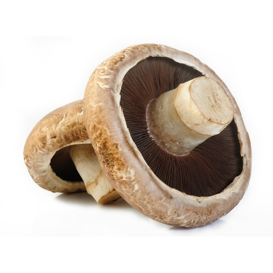 Portobello Mushroom