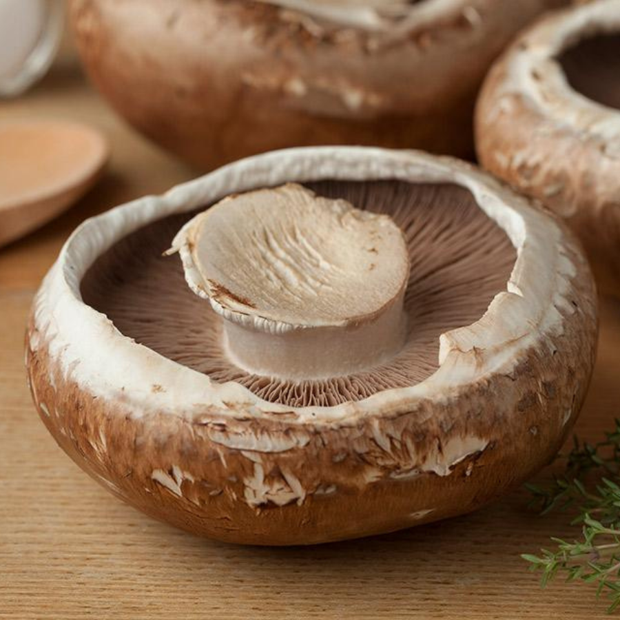 Portobello Mushroom