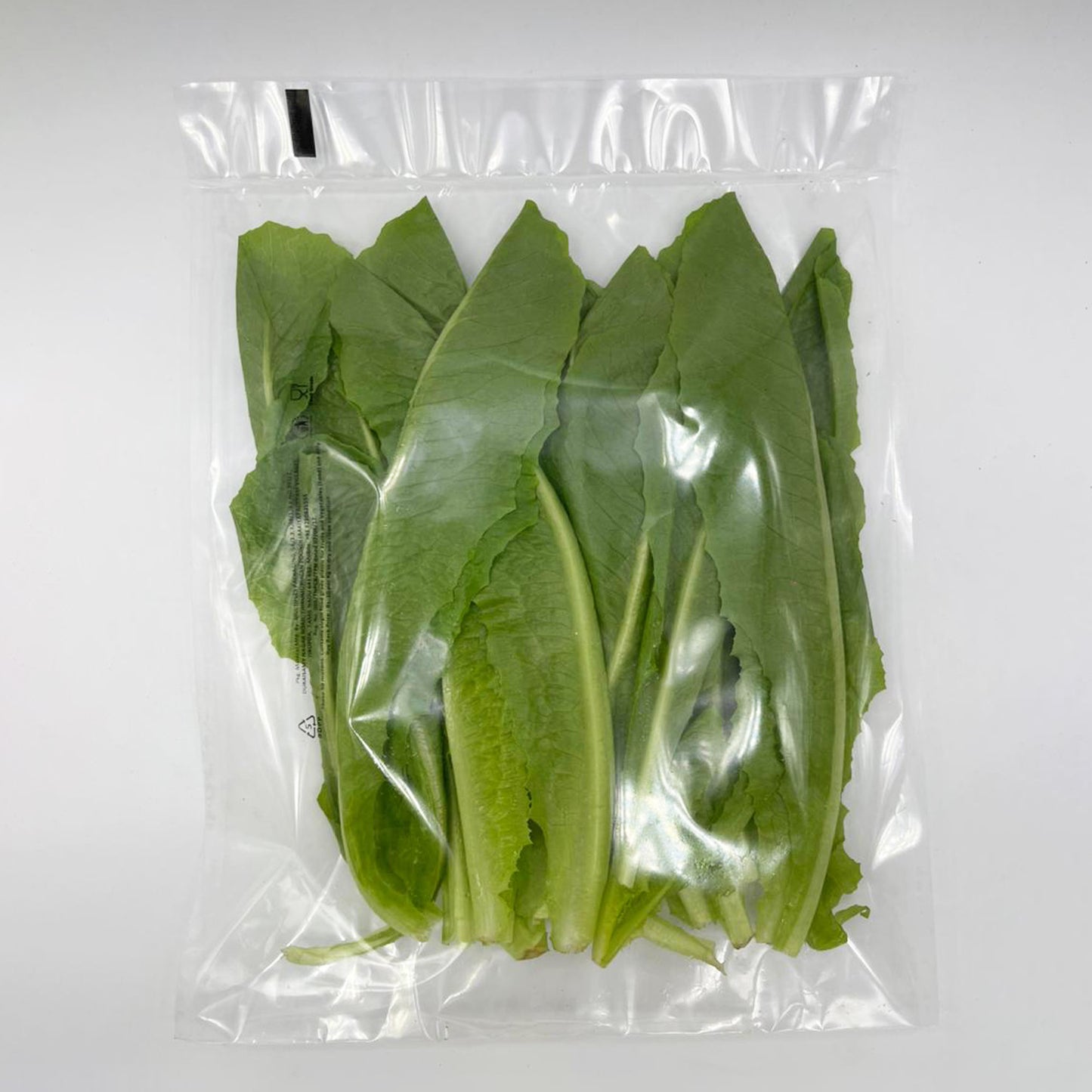 Romaine Lettuce