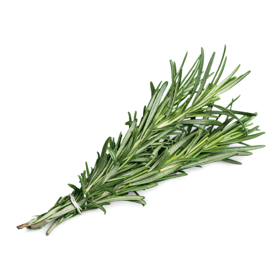 Rosemary