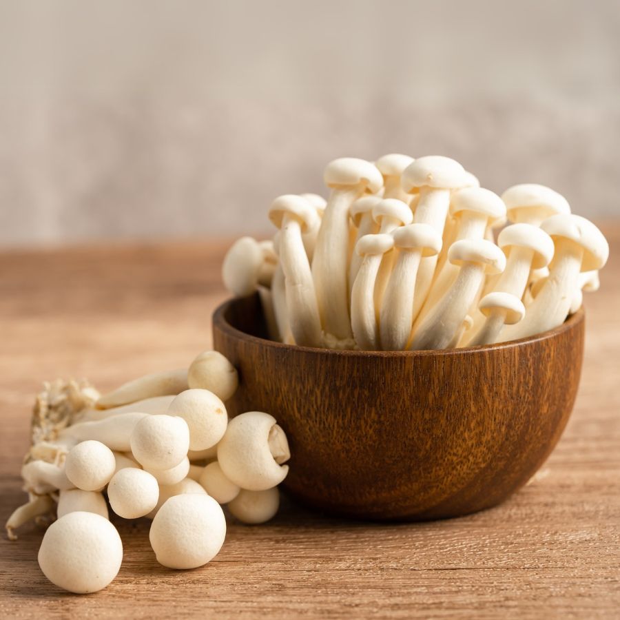 Shimeji Mushroom White