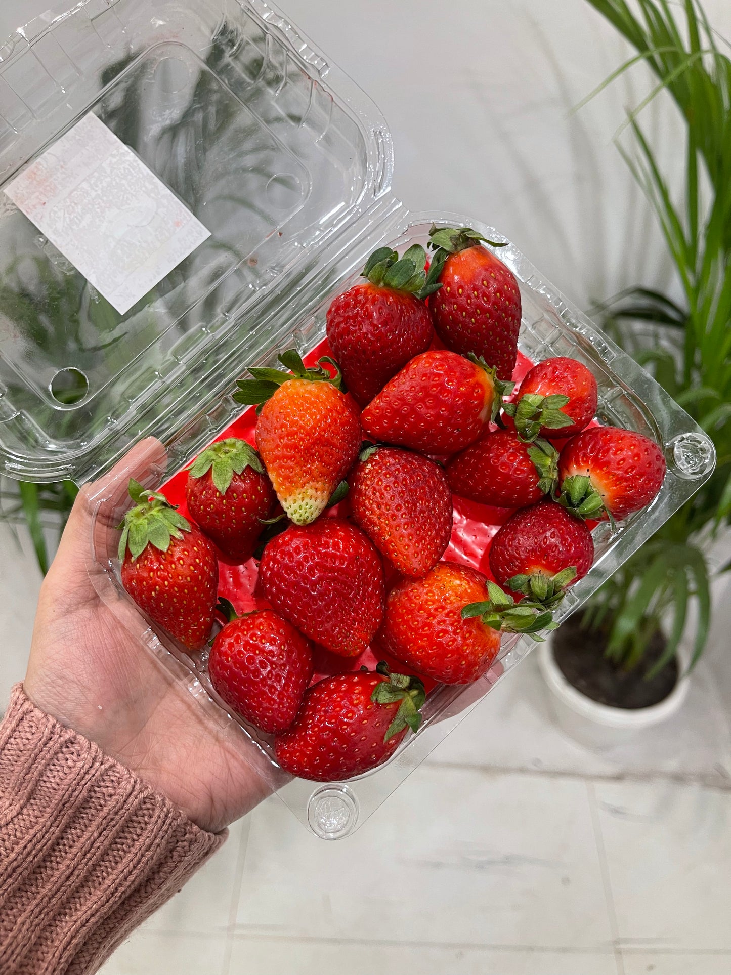 Strawberry Mahabaleshwar