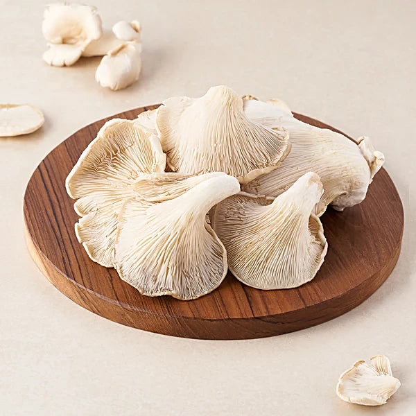 White Oyster Mushroom