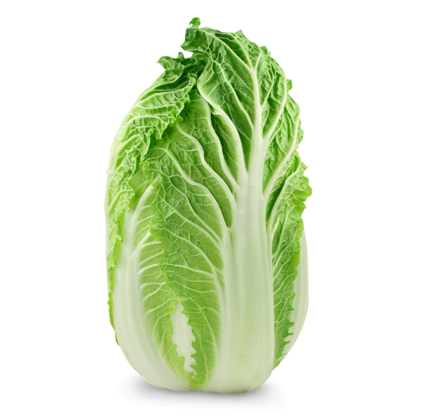 Chinese Cabbage
