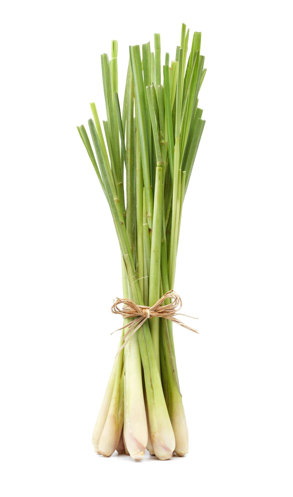 Lemon Grass