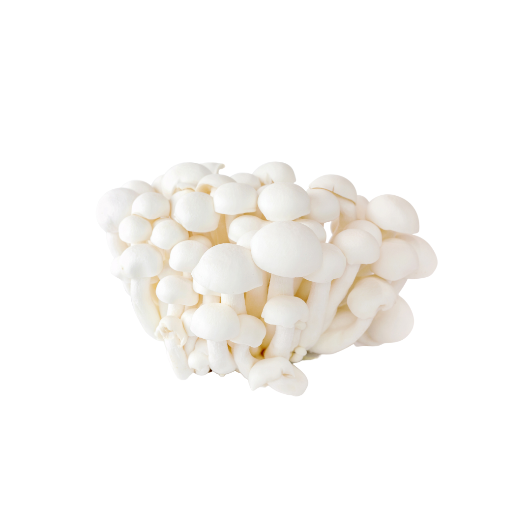Shimeji Mushroom White