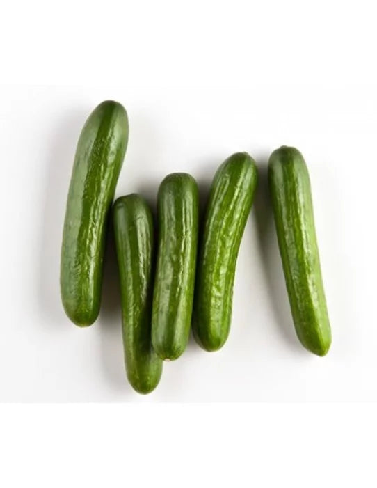 English Cucumber