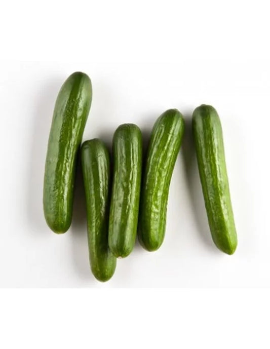 English Cucumber