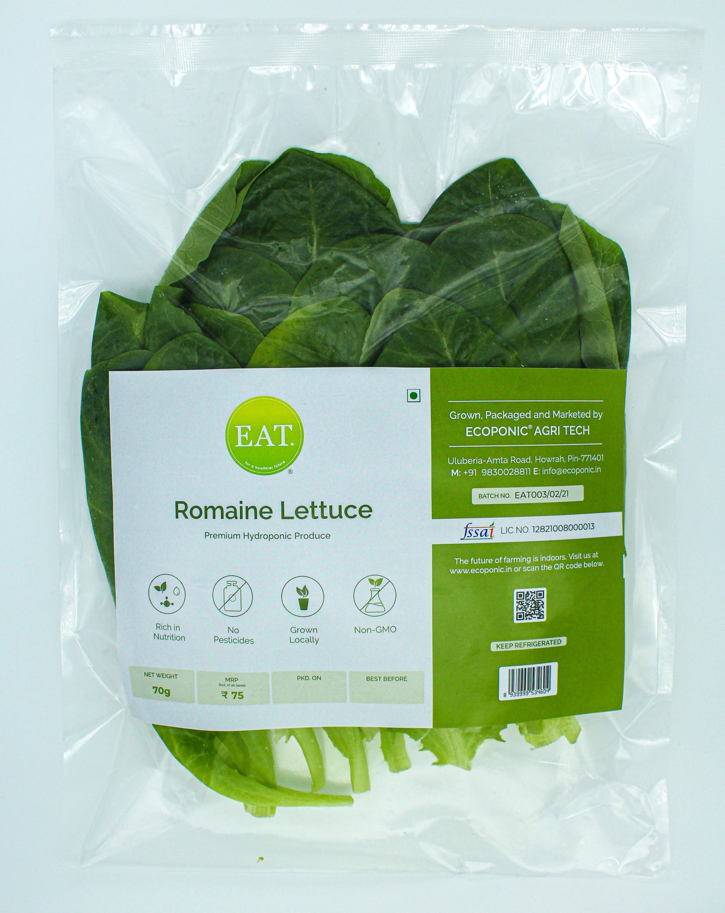 Romaine Lettuce