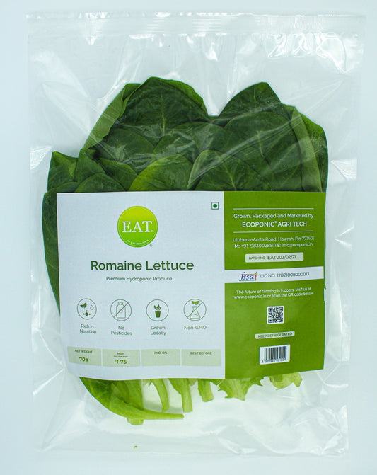 Romaine Lettuce