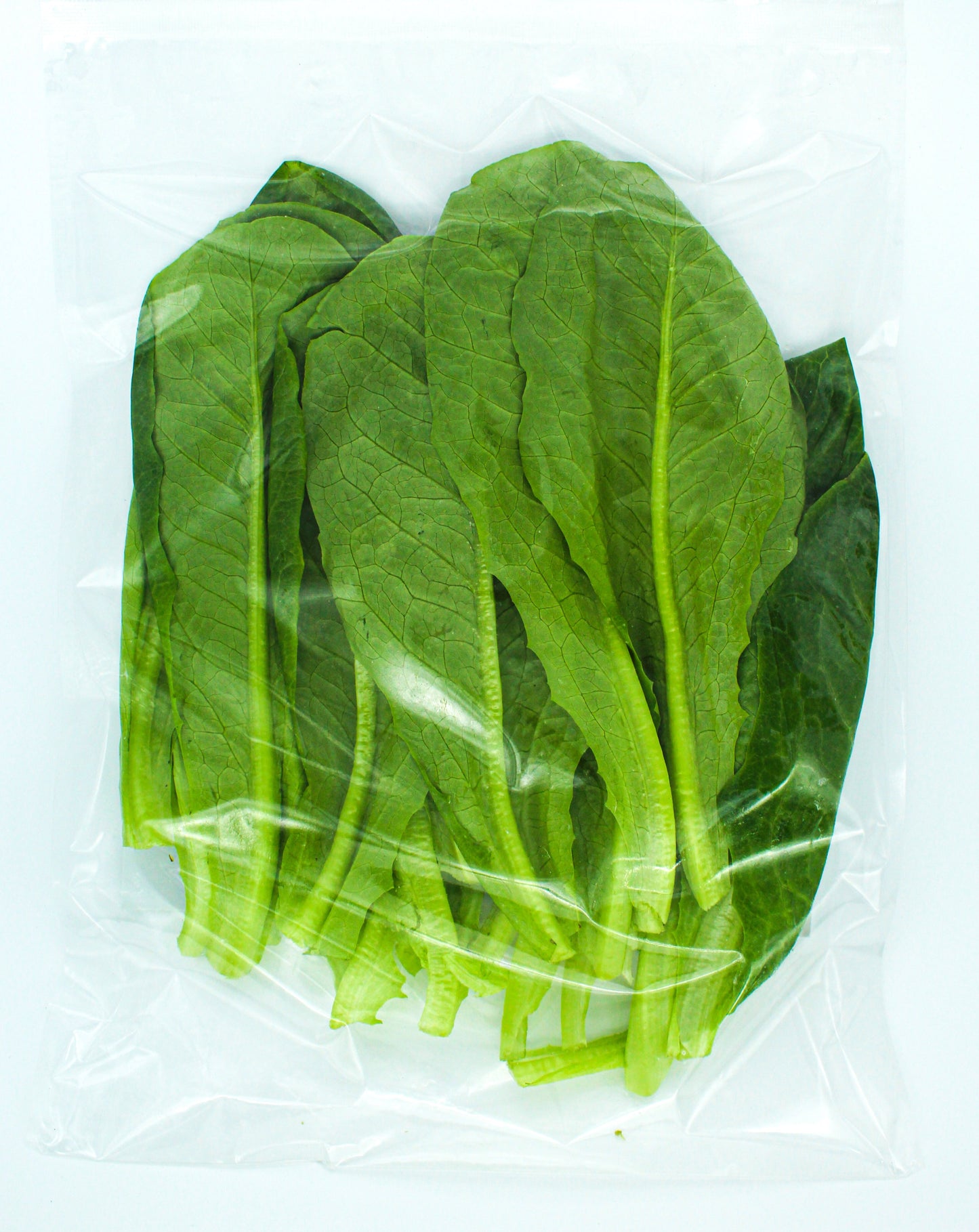 Romaine Lettuce