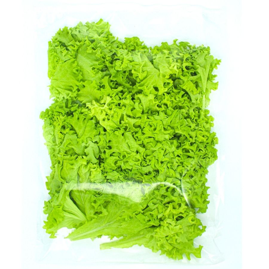 Lollo Bionda Lettuce