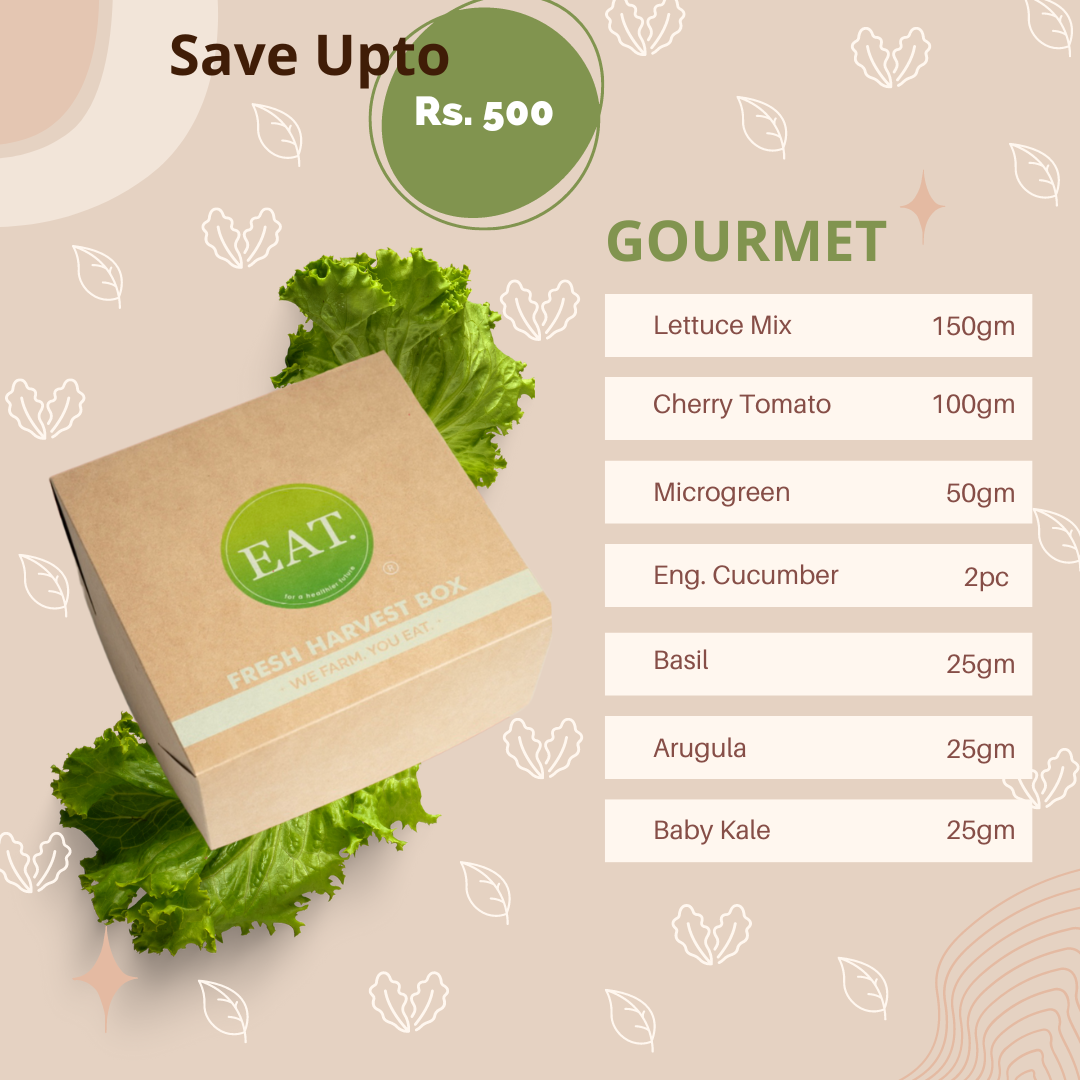 Harvest Box Subscription - Gourmet
