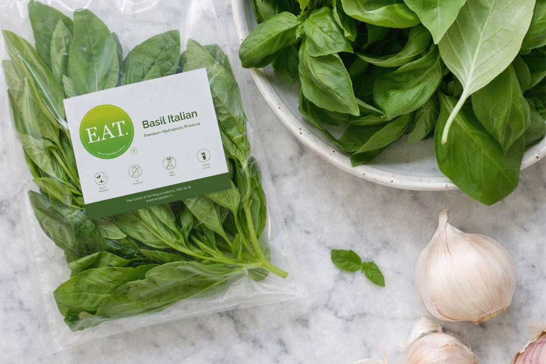 3 Fresh Basil Recipes to Make This Week (Light, Summery & Easy)