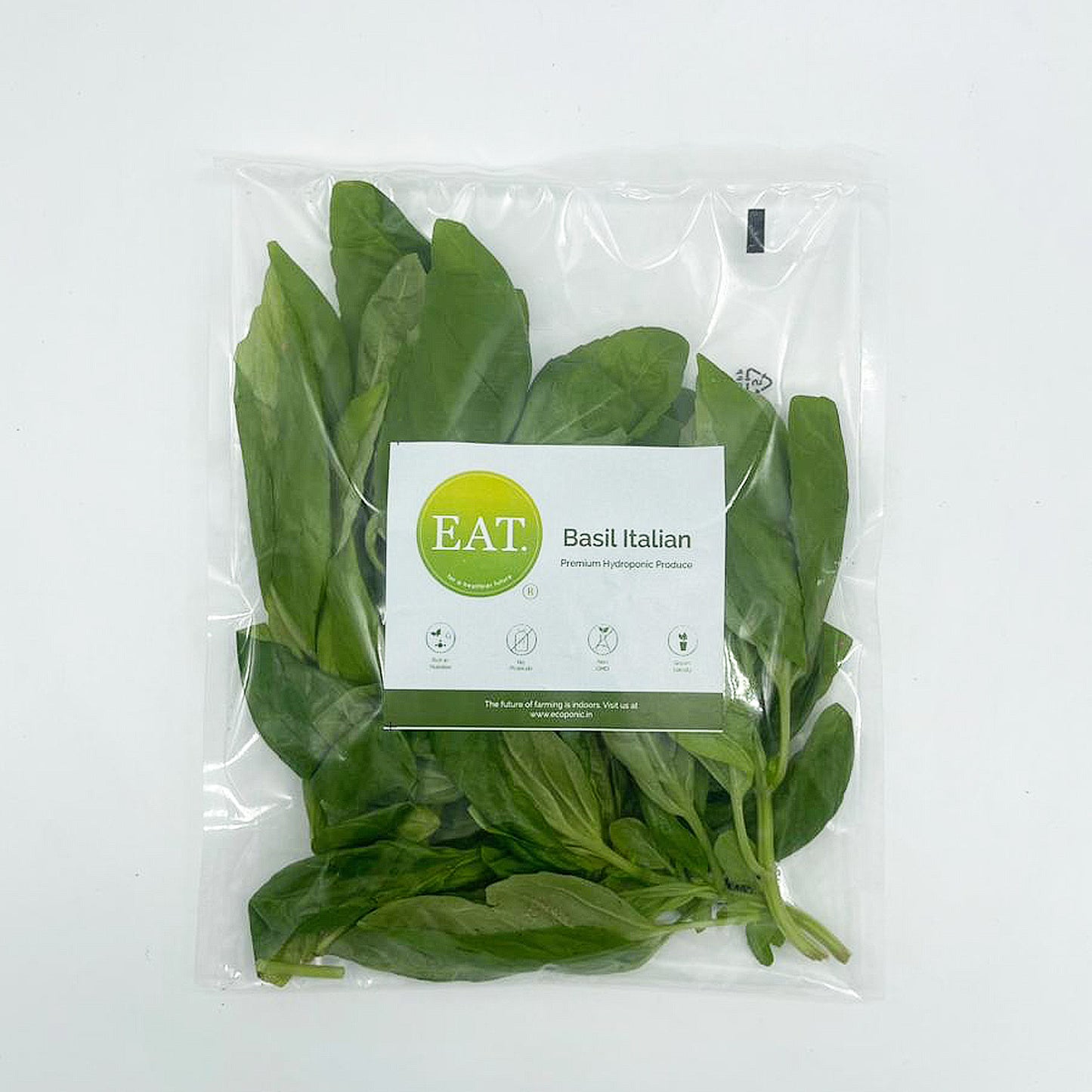 Basil Italian