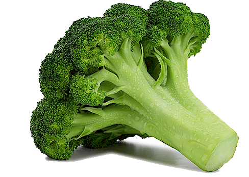 Broccoli