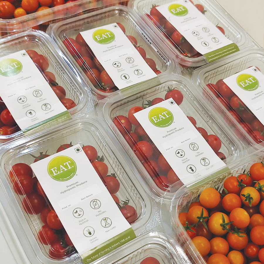 Cherry Tomatoes