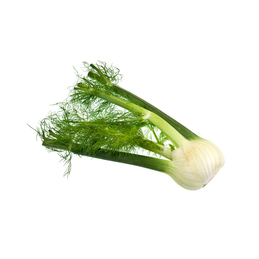 Fennel