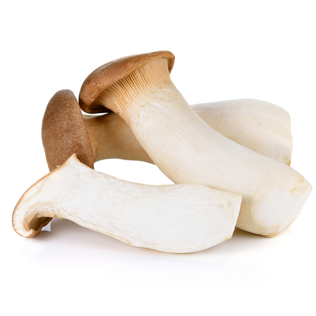 Eryngii (King Oyster) Mushroom