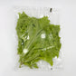 Lollo Bionda Lettuce