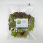 Lollo Rosso Lettuce