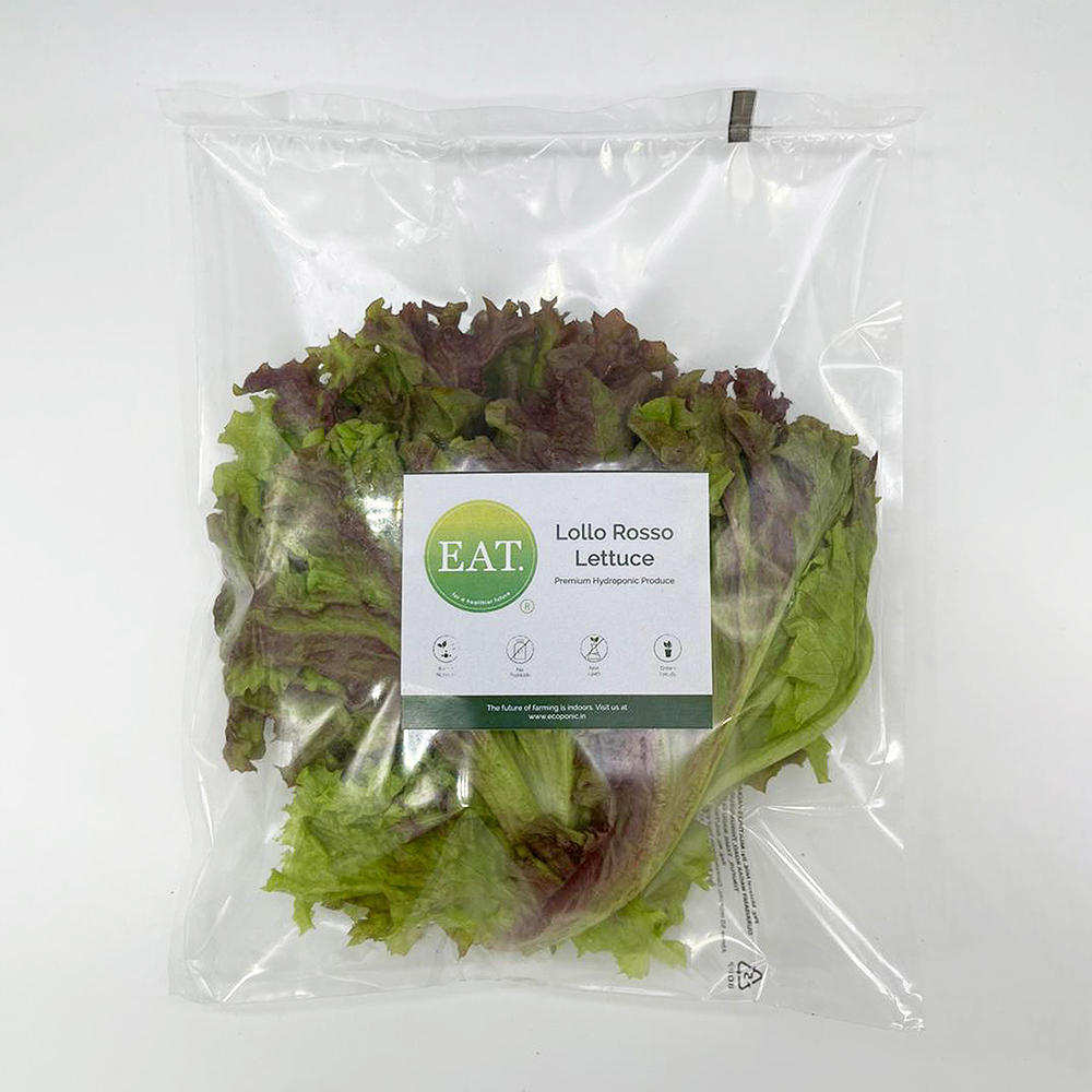 Lollo Rosso Lettuce