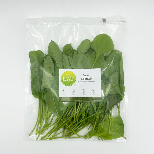 Salad Spinach