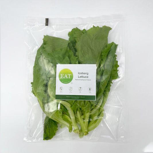 Iceberg Lettuce