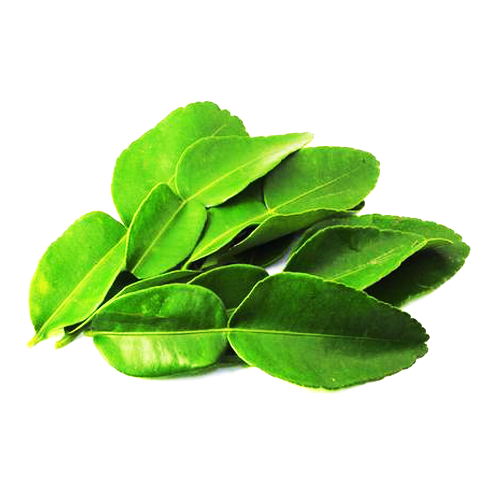 Kaffir Lime Leaves