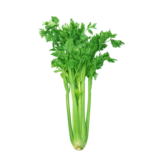 Celery