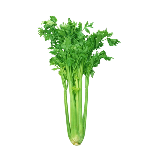 Celery