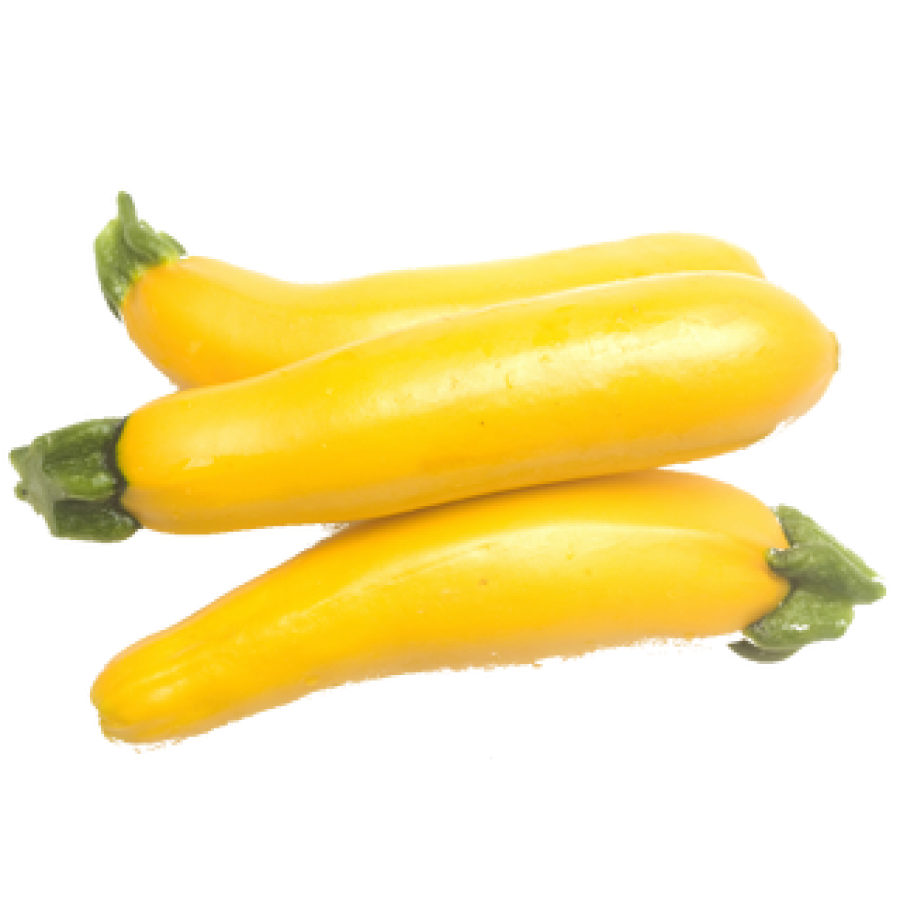 Zucchini Yellow