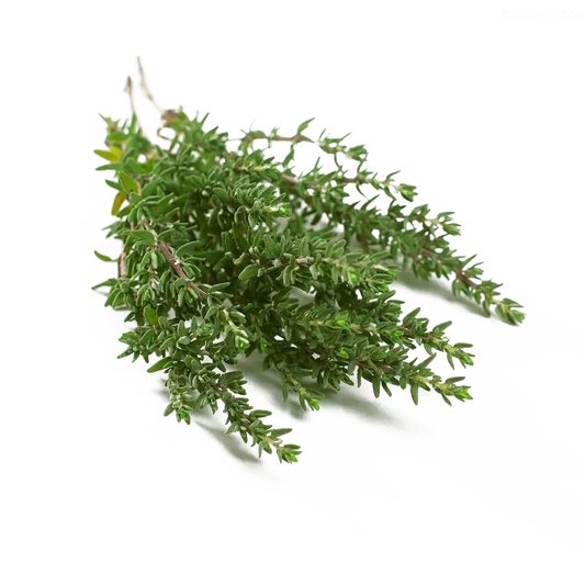 Thyme