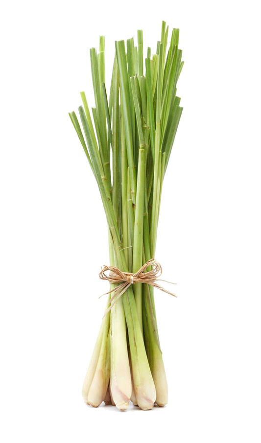 Lemon Grass