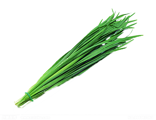 Garlic Chives