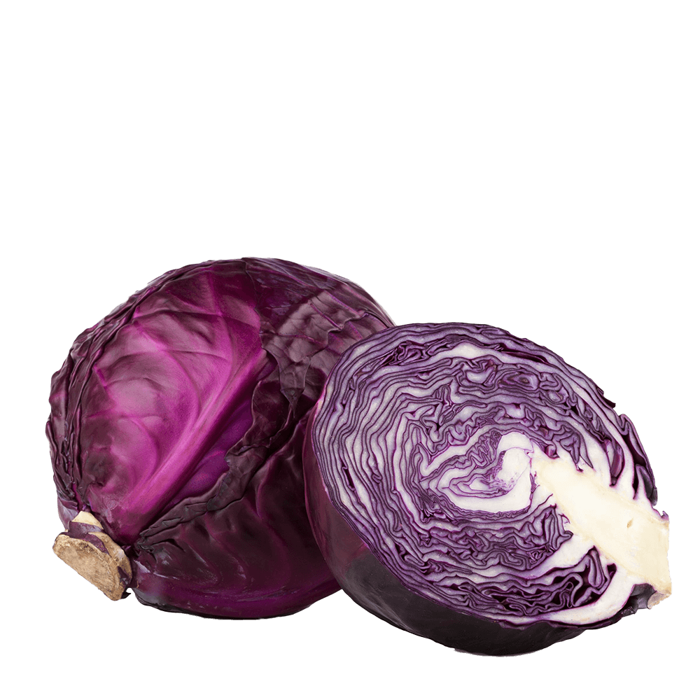 Red Cabbage