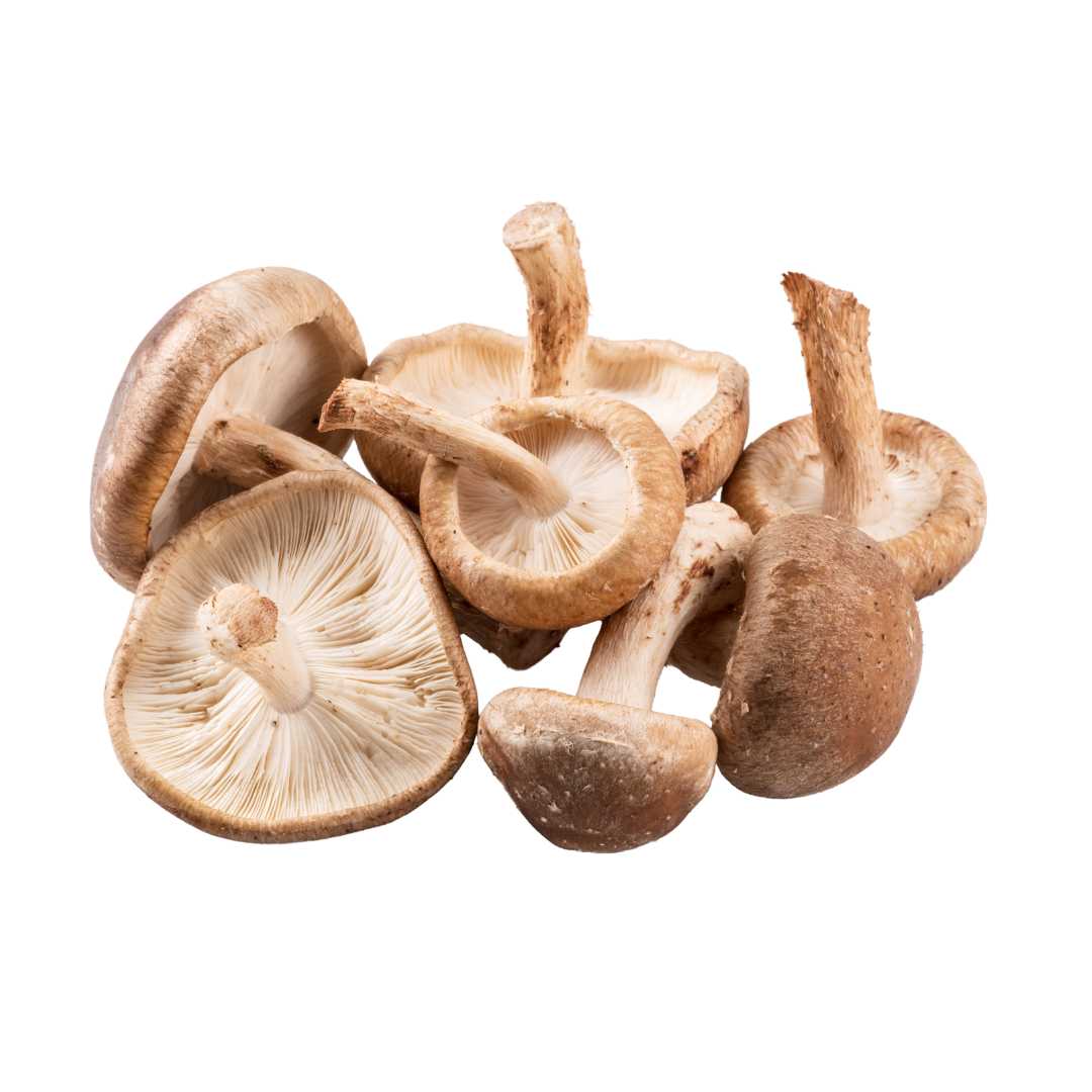Shiitake Mushroom