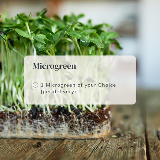 Microgreen Subscription