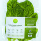 Butterhead Lettuce