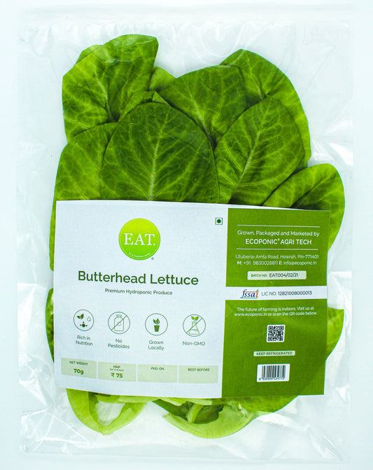 Butterhead Lettuce