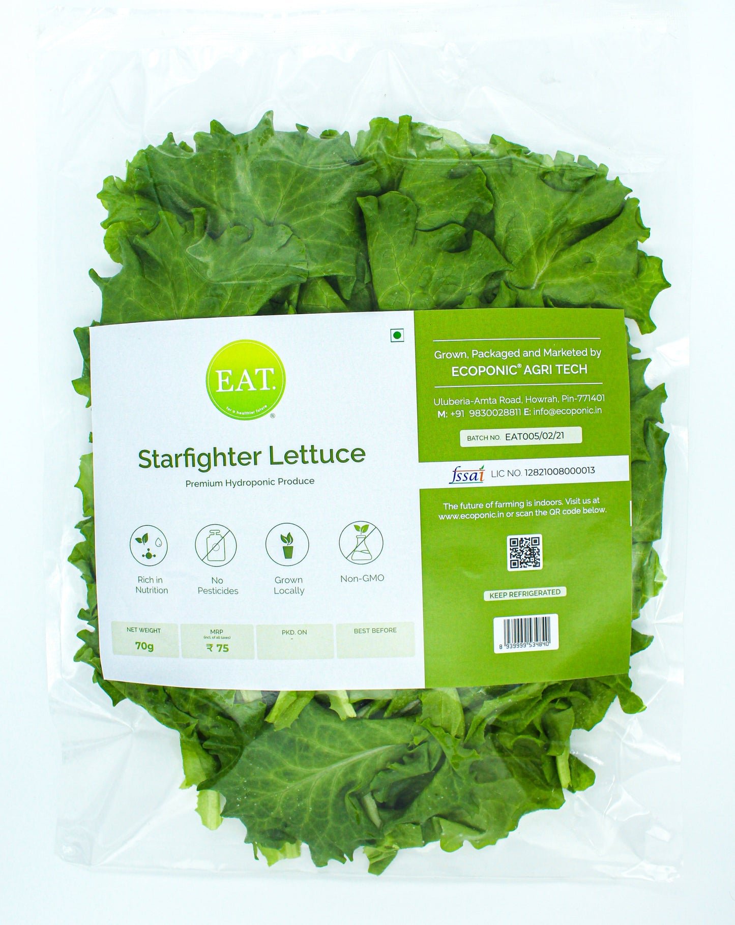 Starfighter (Batavia) Lettuce