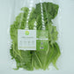 Lettuce Salad Mix