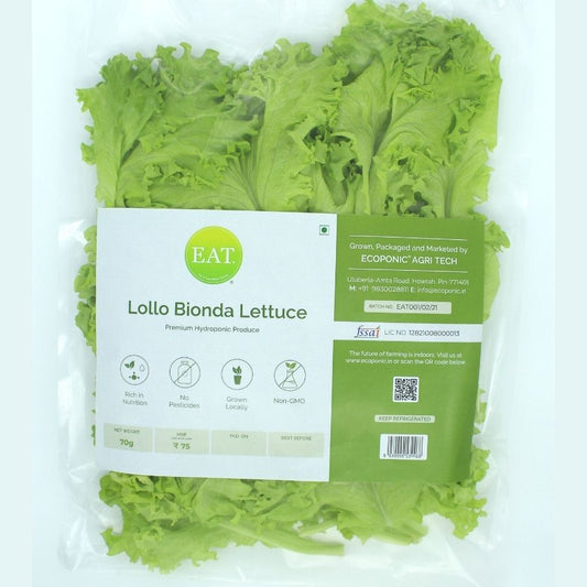 Lollo Bionda Lettuce